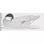 Illustraties van eend zwemmen en op zoek achter